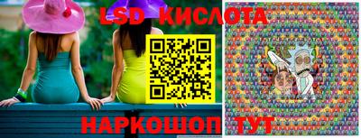 прущие грибы Сланцы