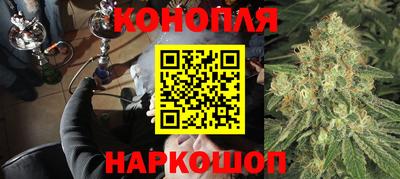 прущие грибы Сланцы