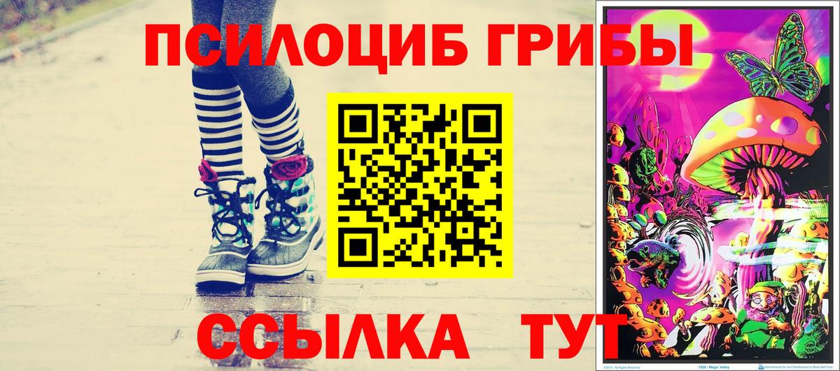 Псилоцибиновые грибы прущие грибы  Галлюциногенные грибы прущие грибы  наркотики  Вход с VPN  Рузаевка 